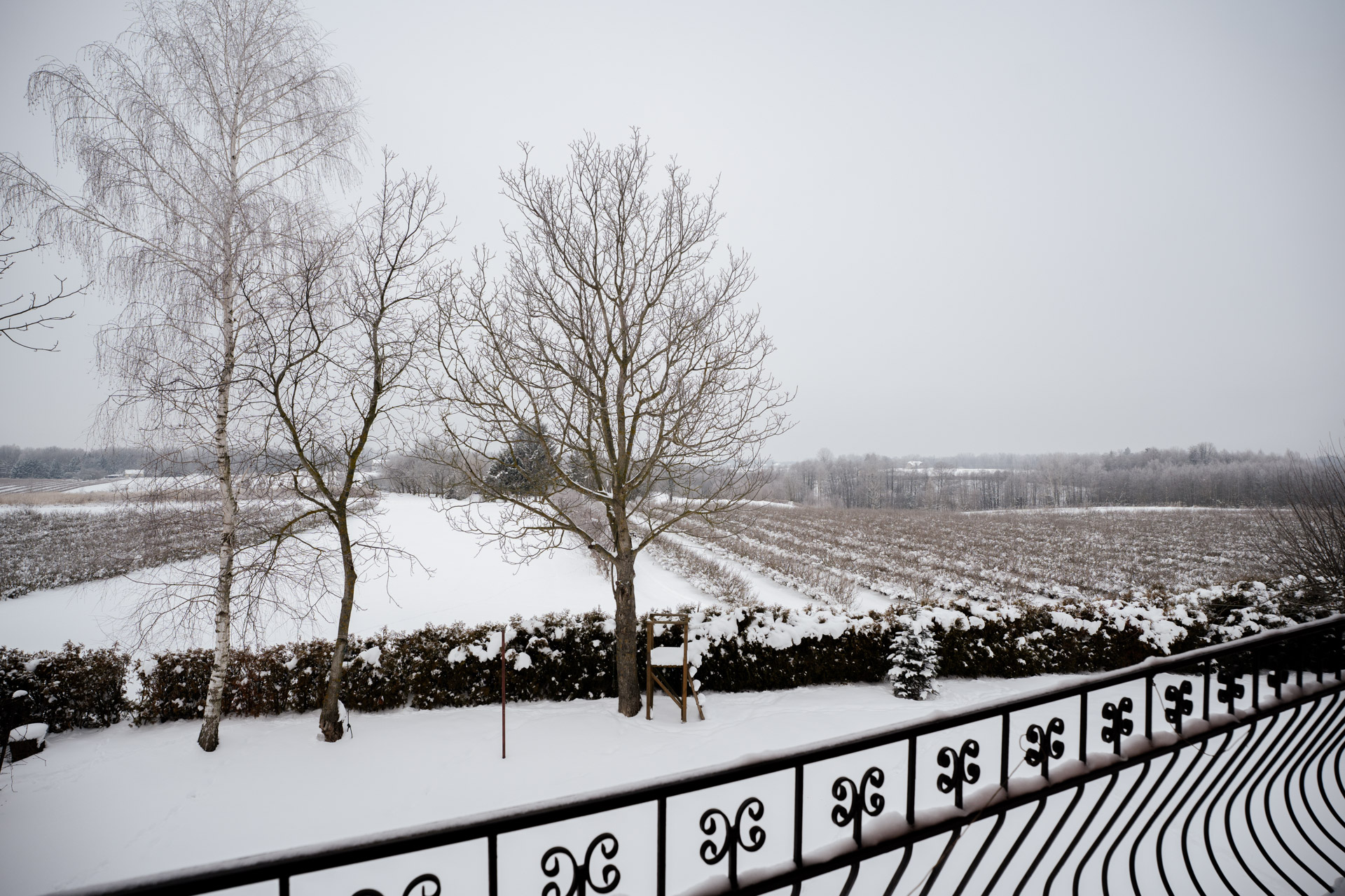 Widok z tarasu na okolice, czyli pola, łąki i sady